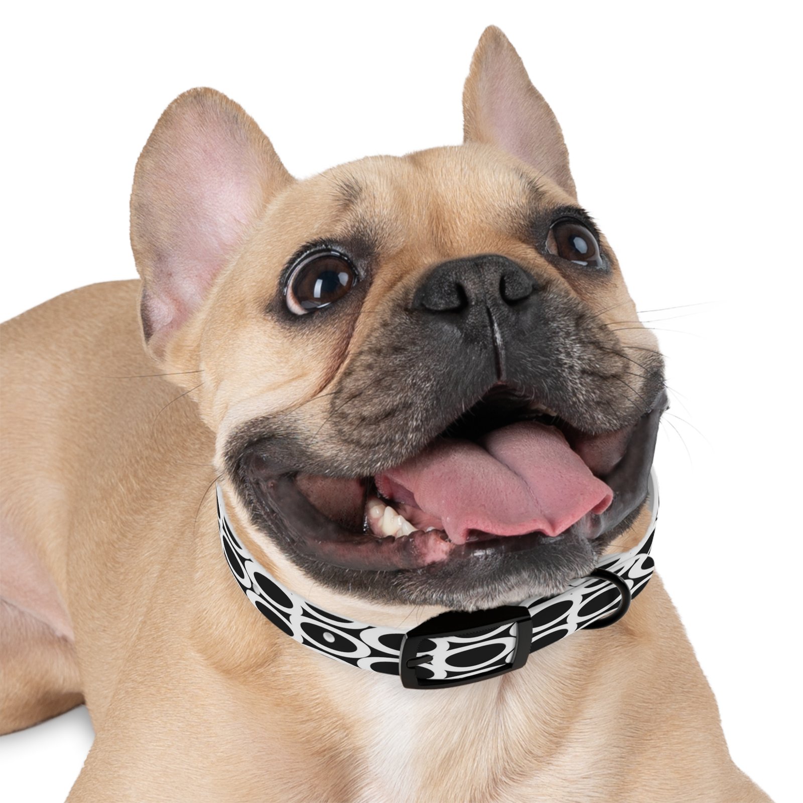 Dog Collar - Image 3