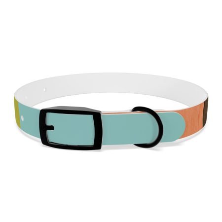 Stylish Dog Collar for Pets, Customizable Pet Accessory, Trendy Dog Gear, Colorful Dog Collar, Dog Fashion Statement