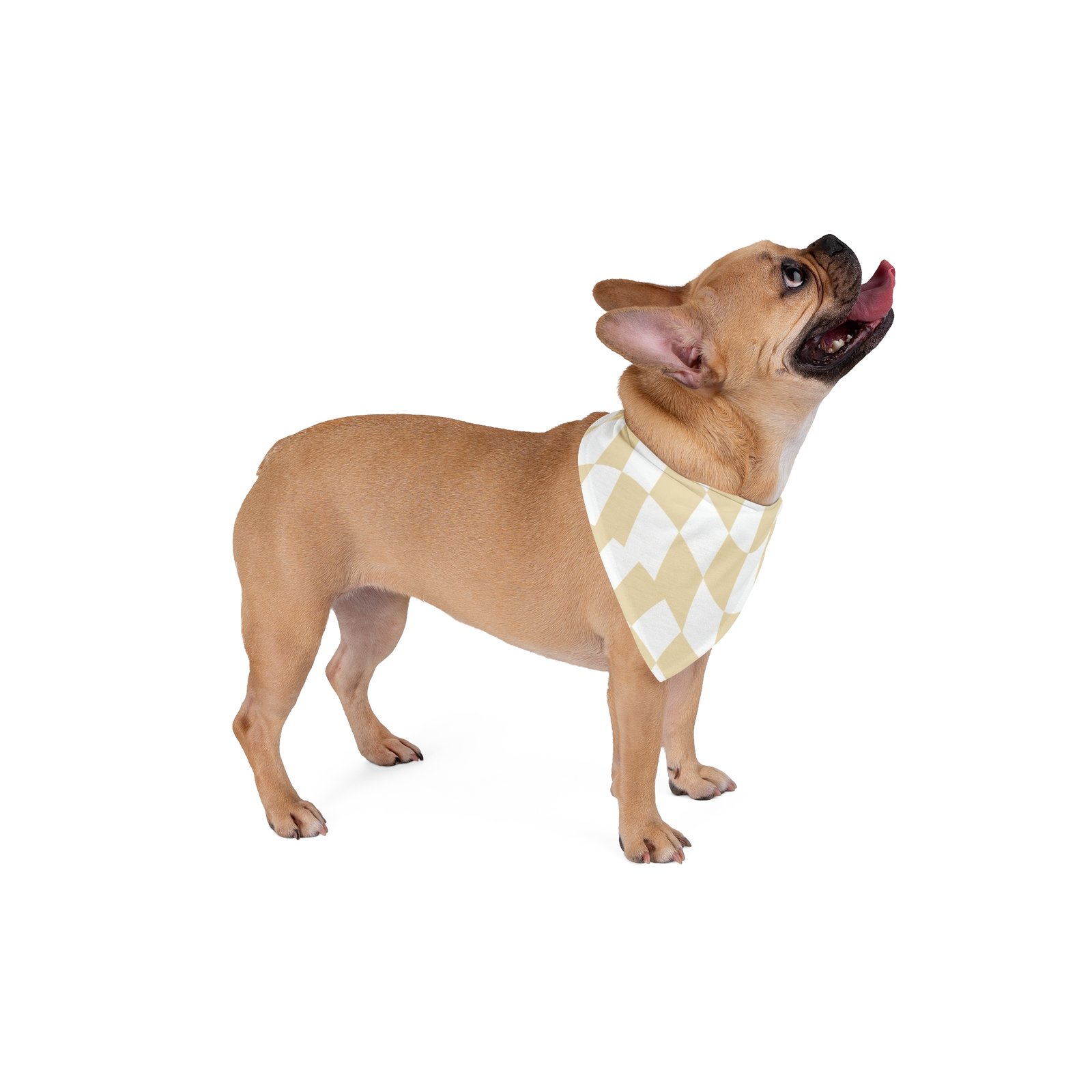 Pet Bandana - Image 8