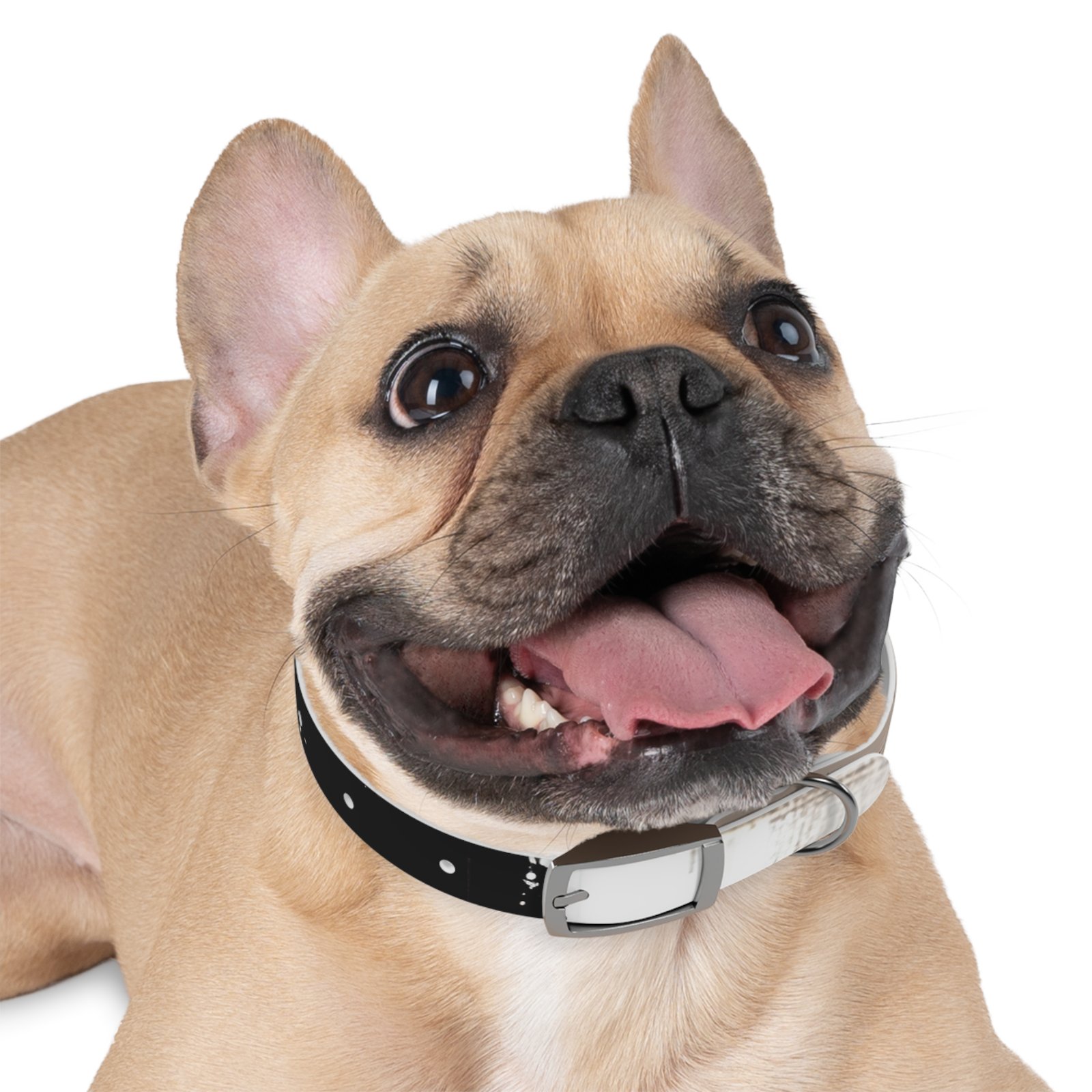 Stylish Dog Collar in Modern Print, Pet Accessory, Dog Gear for Stylish Pets, Gift for Dog Lovers, Adjustable Neck Strap - Image 3