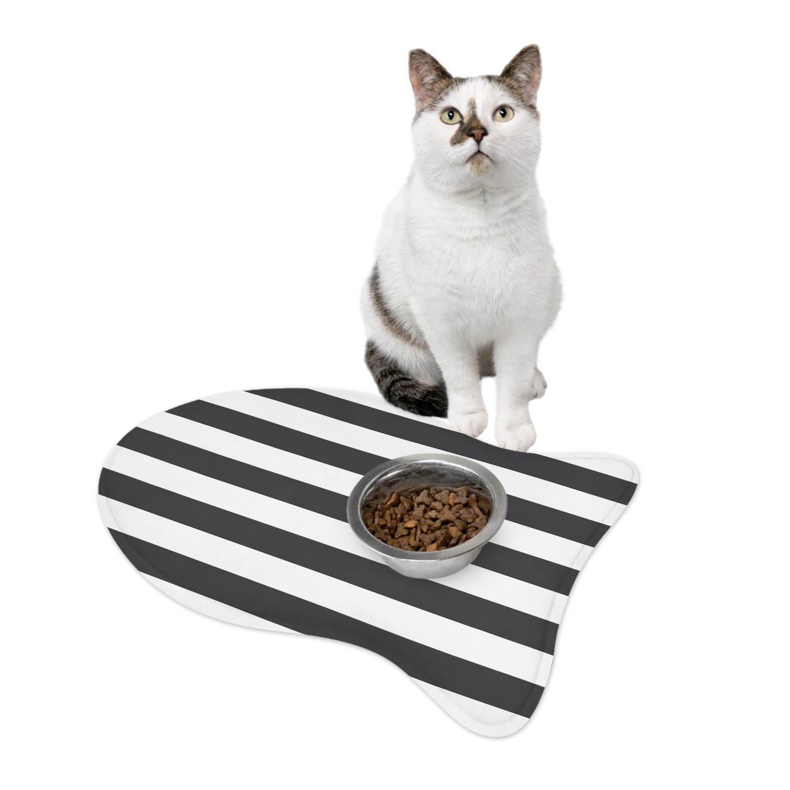 Pet Feeding Mats - Image 10