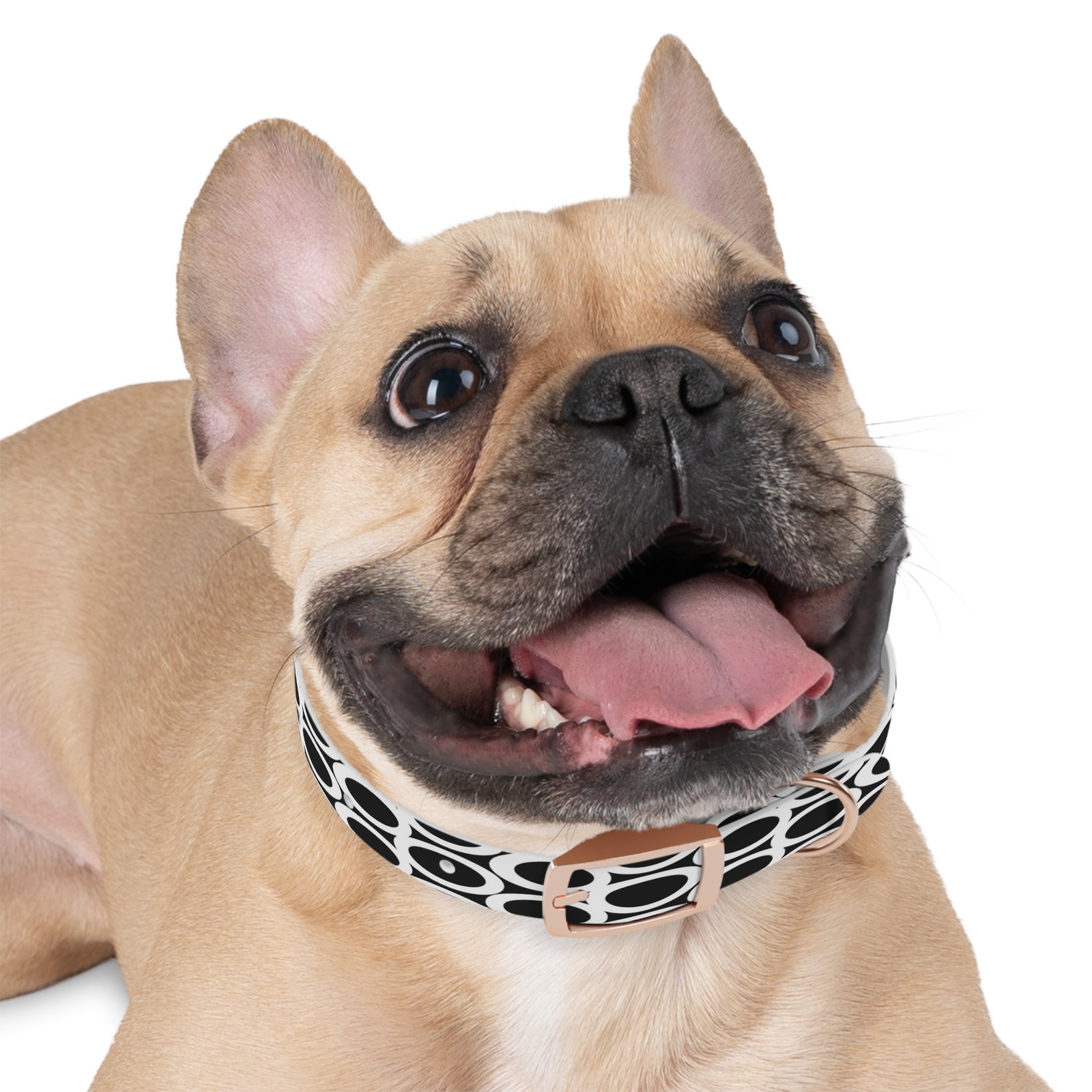 Dog Collar - Image 9