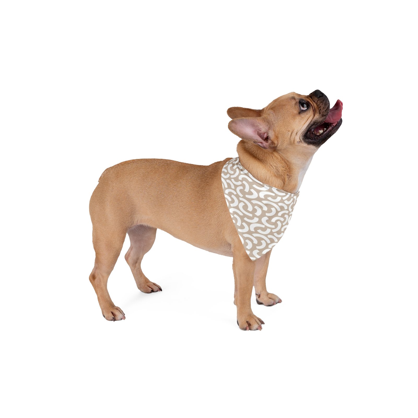 Pet Bandana - Image 4