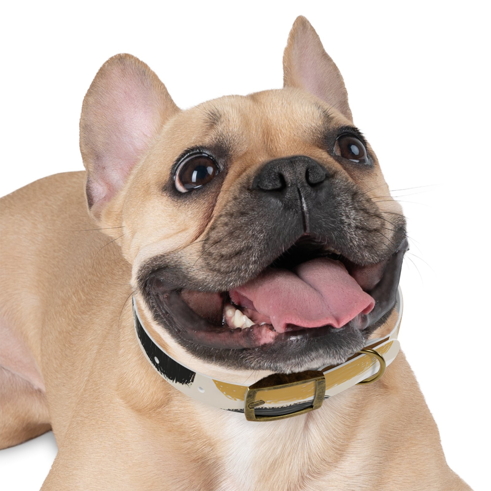 Stylish Dog Collar | Custom Pet Accessory, Fashionable Canine Gear, Unique Pet Gifts, Durable Dog Wear, Pet Fashion Statement - Image 12