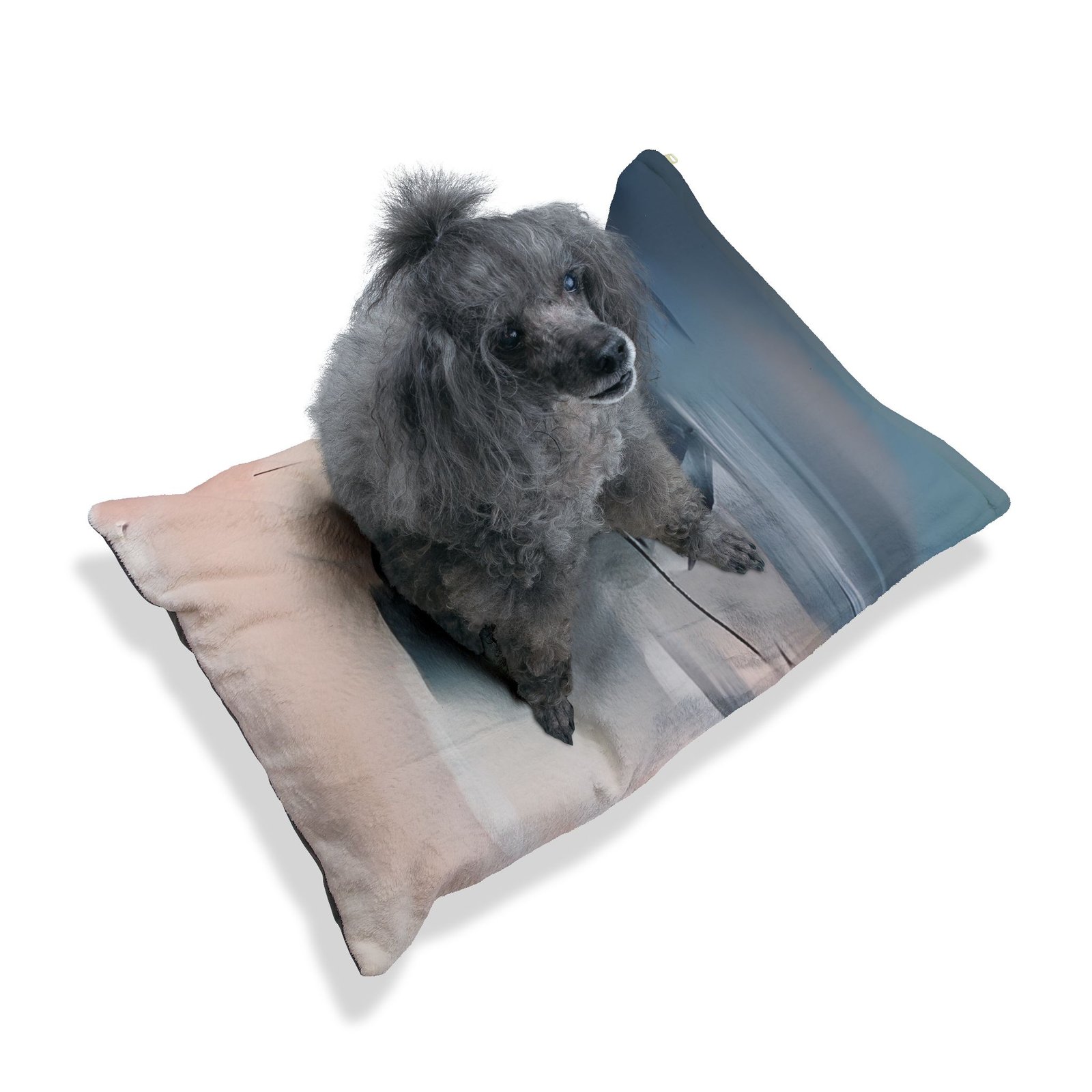 Pet Bed - Image 6
