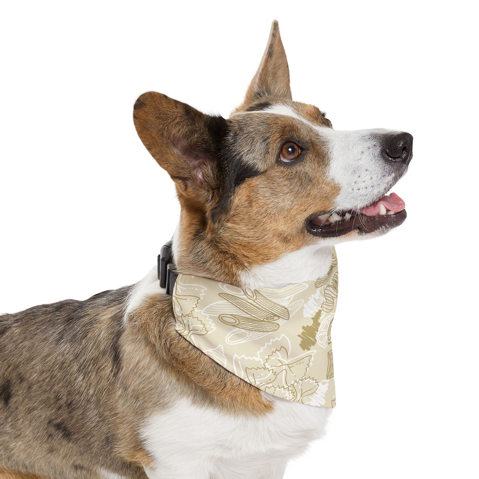 Pet Bandana Collar - Image 11