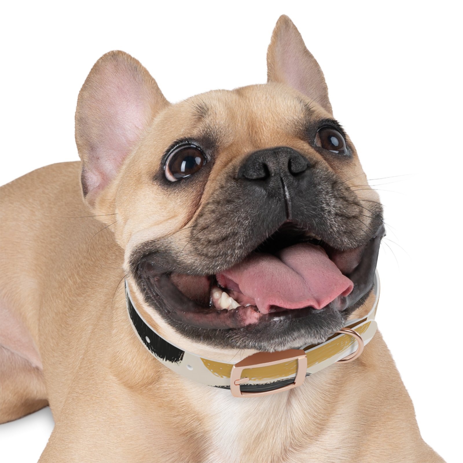 Stylish Dog Collar | Custom Pet Accessory, Fashionable Canine Gear, Unique Pet Gifts, Durable Dog Wear, Pet Fashion Statement - Image 9