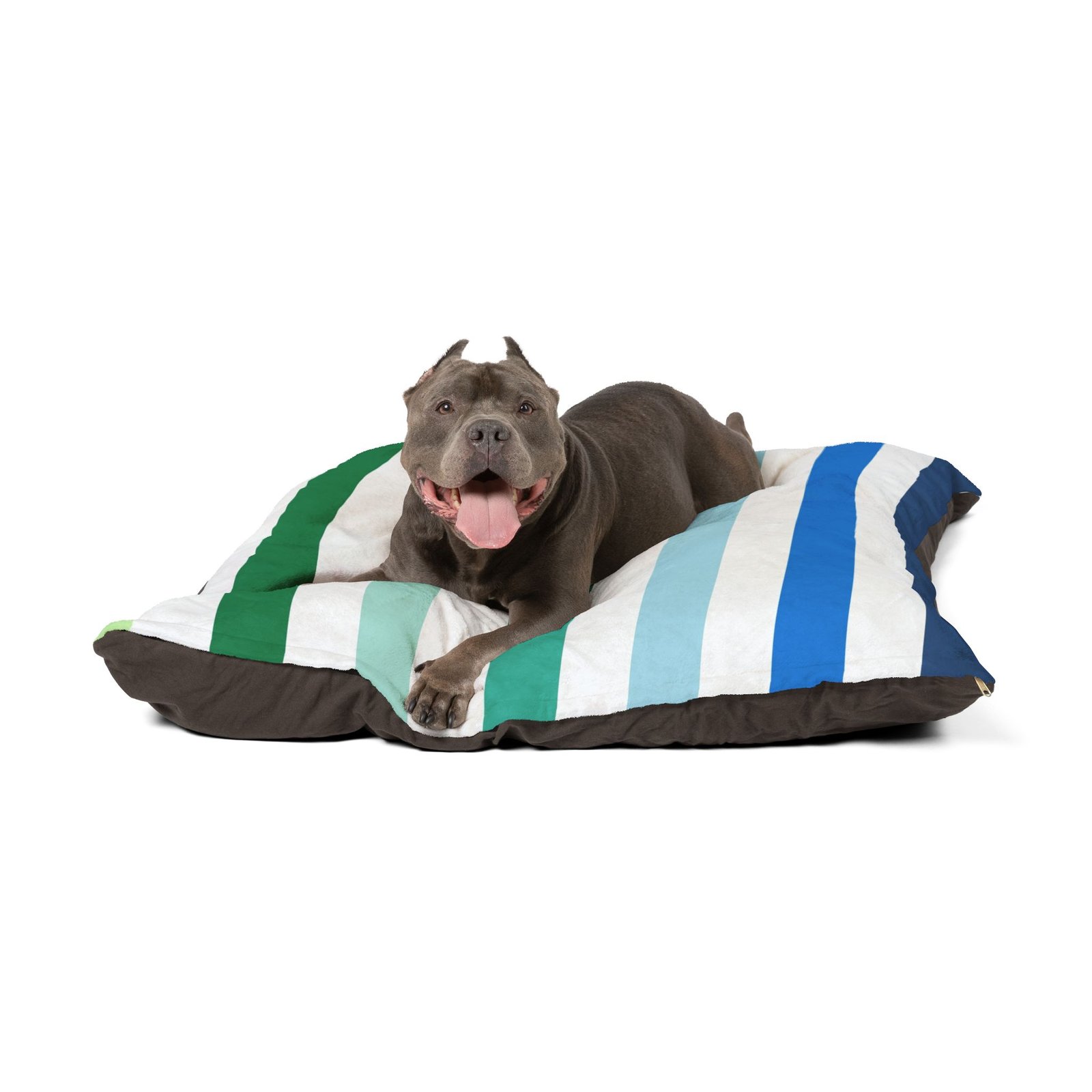 Pet Bed - Image 3