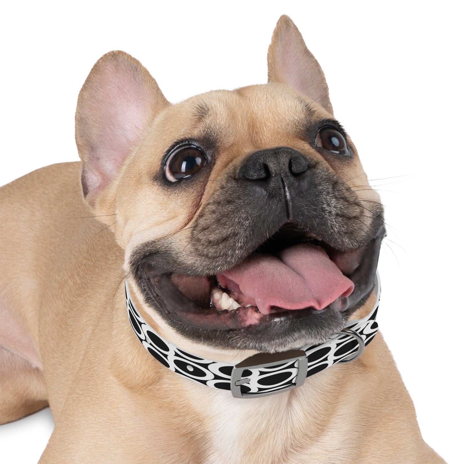 Dog Collar - Image 6