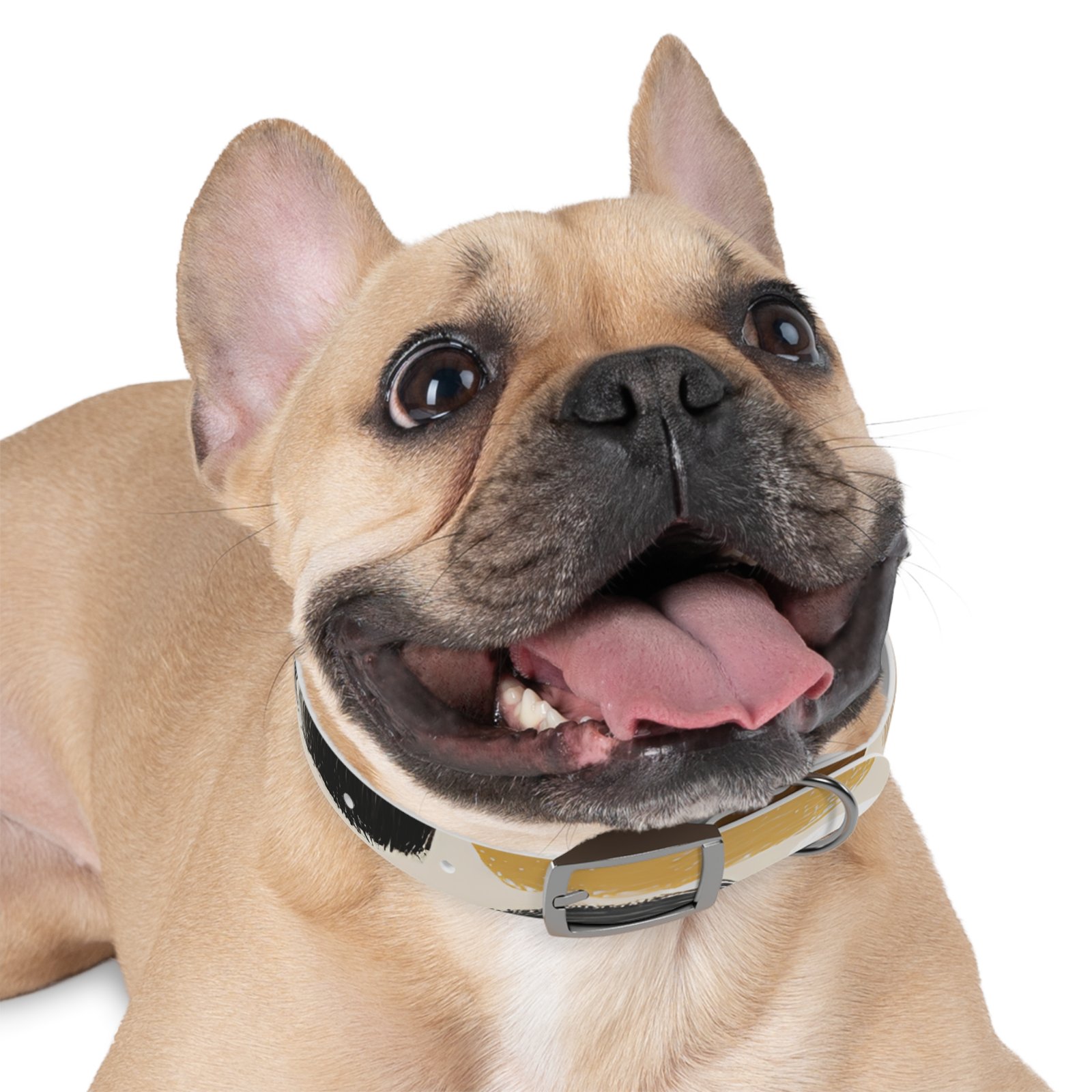 Stylish Dog Collar | Custom Pet Accessory, Fashionable Canine Gear, Unique Pet Gifts, Durable Dog Wear, Pet Fashion Statement - Image 6