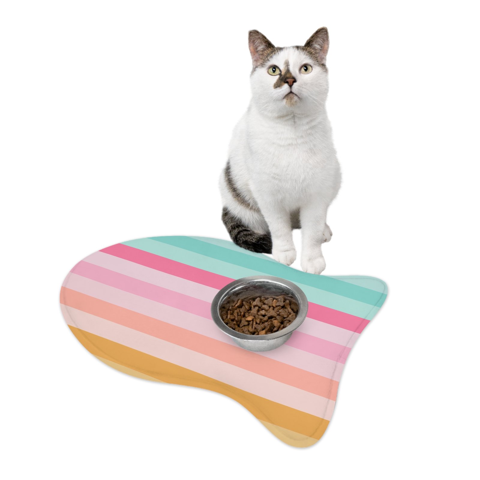 Pet Feeding Mats - Image 10