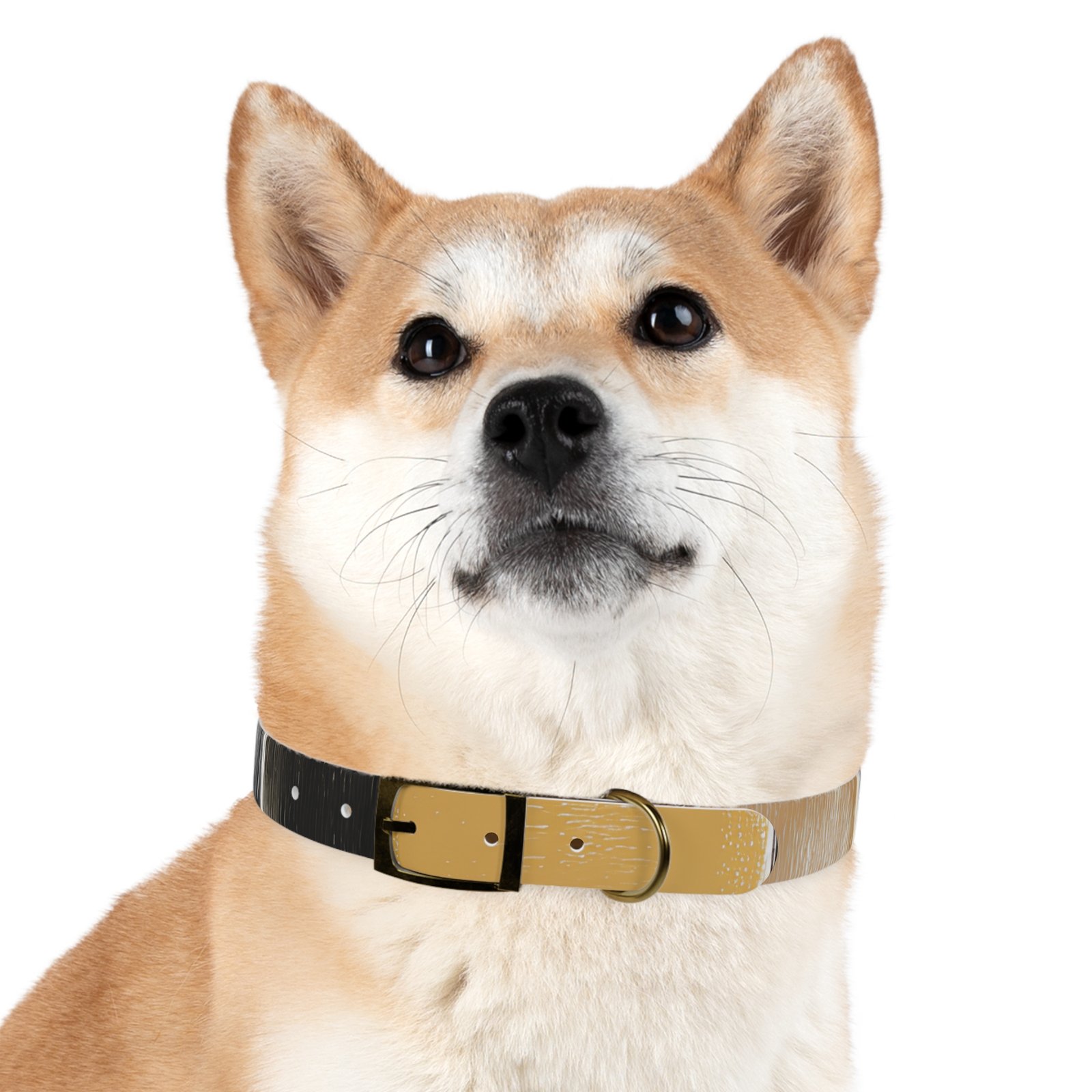 Stylish Dog Collar | Custom Pet Accessory, Fashionable Canine Gear, Unique Pet Gifts, Durable Dog Wear, Pet Fashion Statement - Image 24