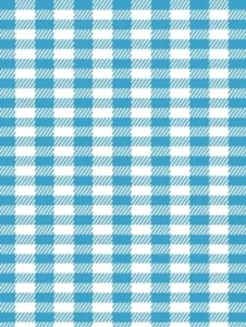 Winter Gingham