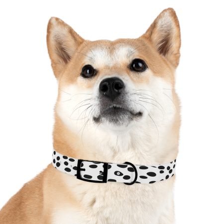 Dog Collar