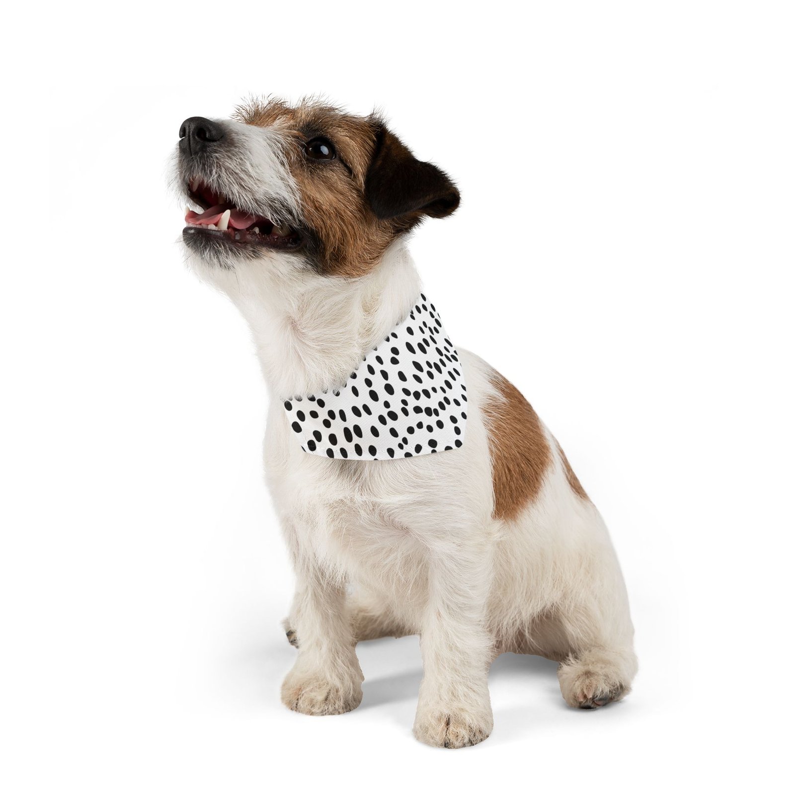 Stylish Pet Bandana Collar, Trendy Dog Accessory, Black and White Polka Dot Design, Perfect for Pets, Pet Fashion, Doggie Bandana - Image 3