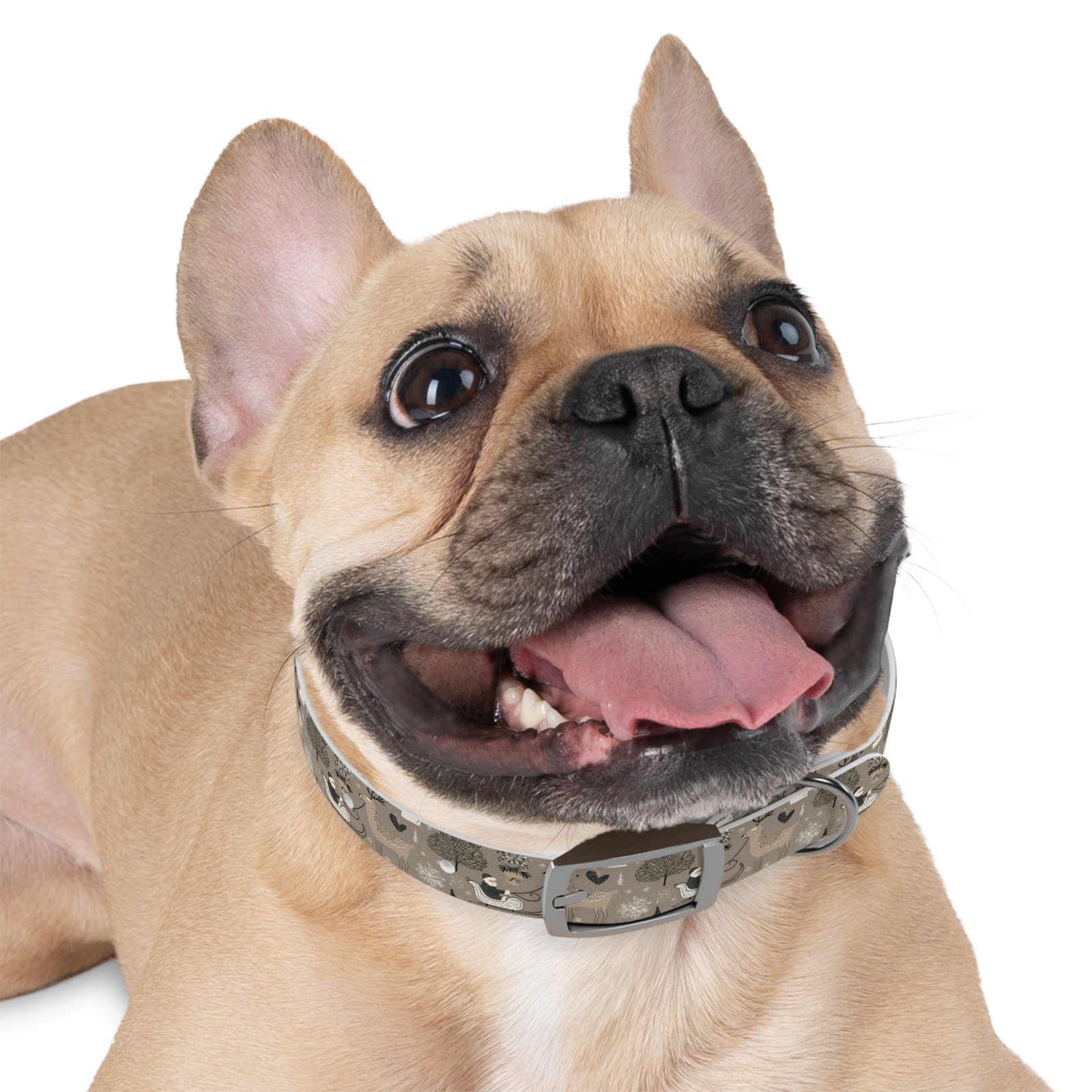 Dog Collar - Image 6