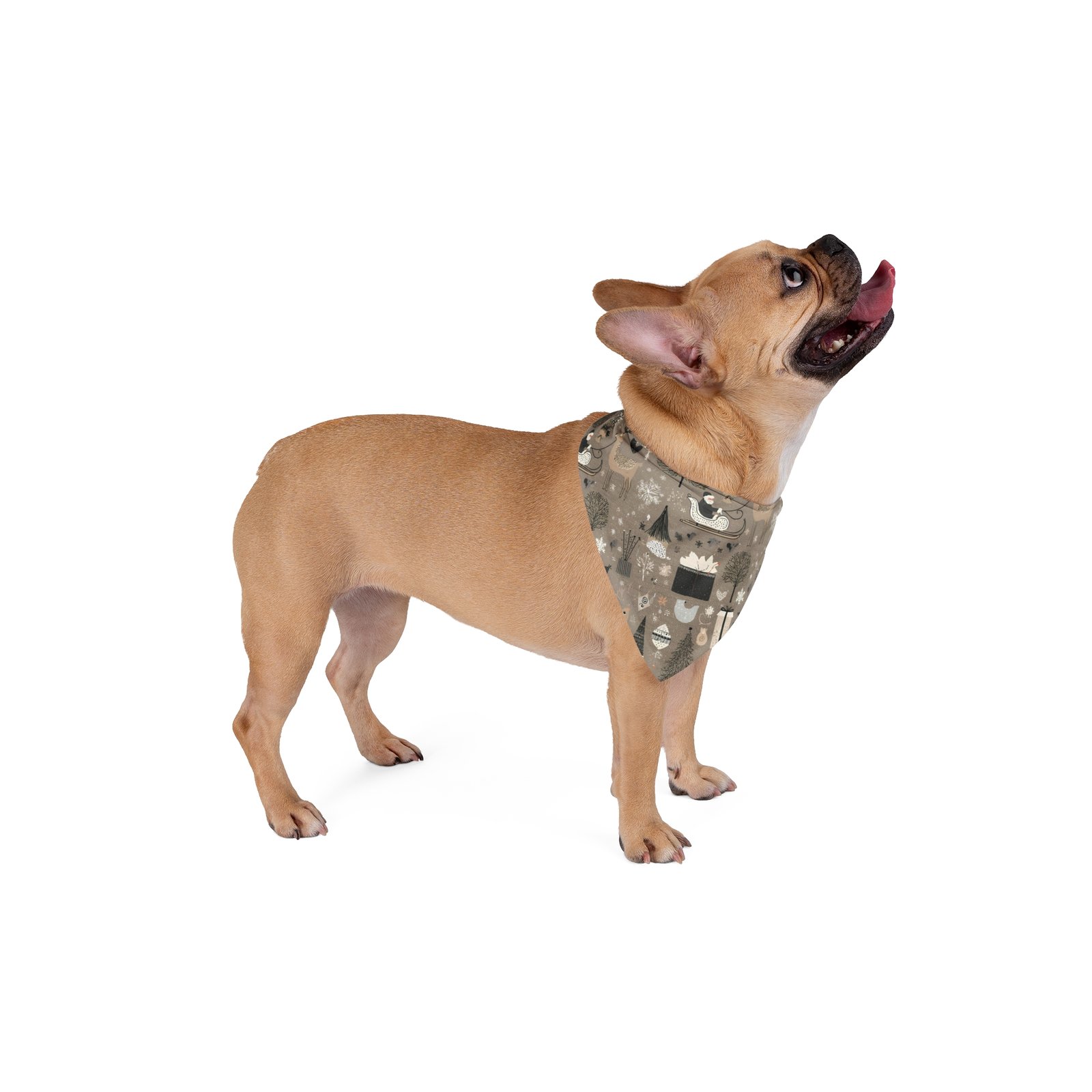 Pet Bandana - Image 2