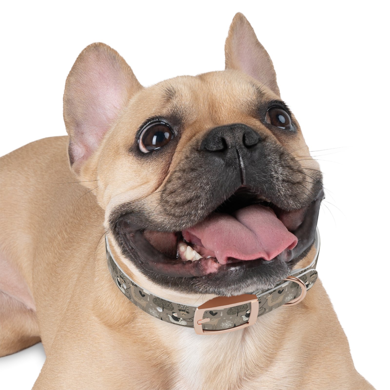 Dog Collar - Image 9