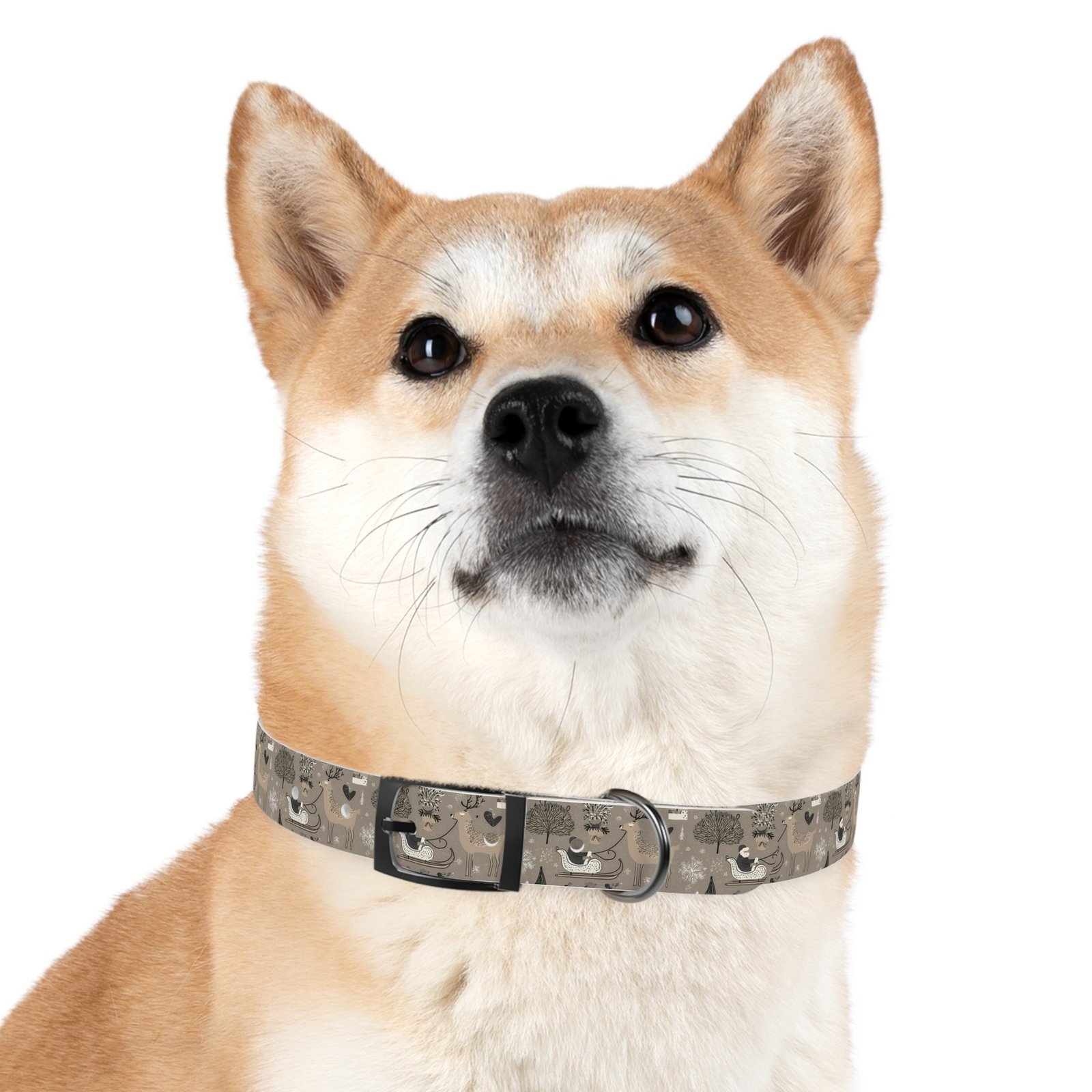 Dog Collar - Image 18