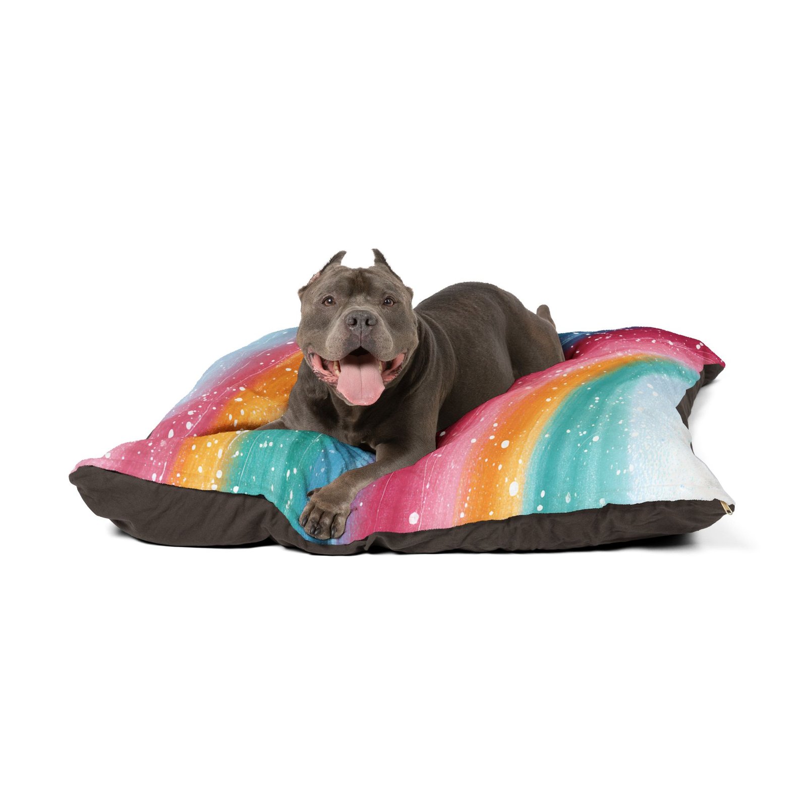 Colorful Pet Bed for Cozy Comfort, Dog Bed, Cat Bed, Rainbow Pet Cushion, Pet Furniture, Home Decor